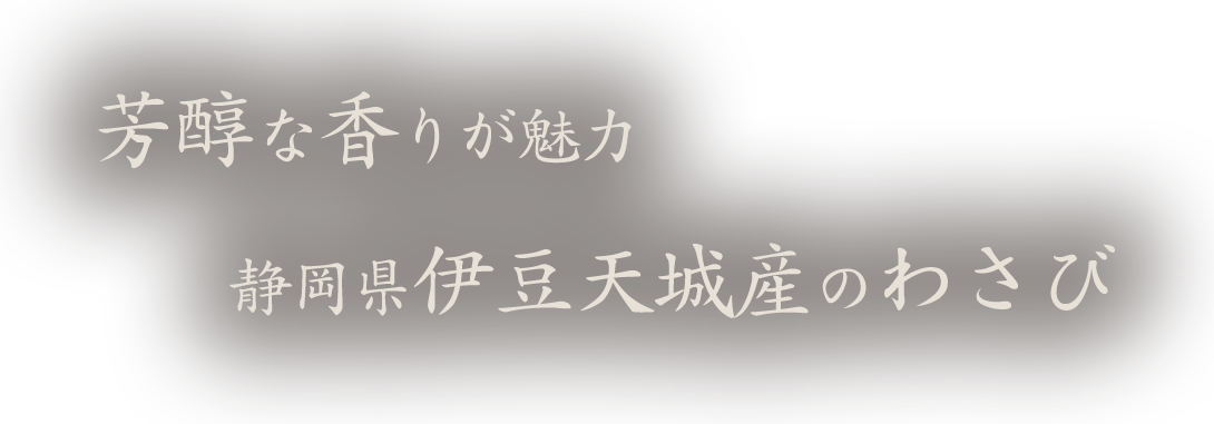 芳醇な香りが魅力静岡県伊豆天城産のわさび